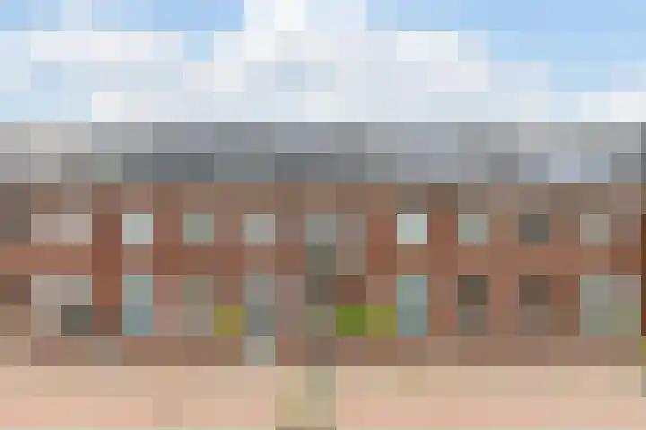 Lienweid 6 Blokker foto 2