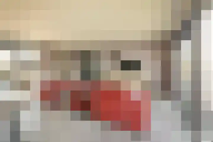 Lieoever 40 Haarlem thumbnail 18