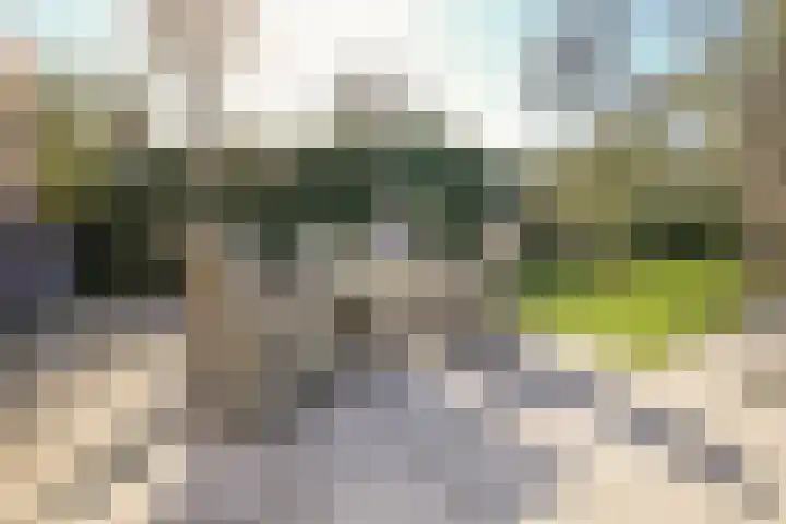 Lieoever 40 Haarlem thumbnail 45
