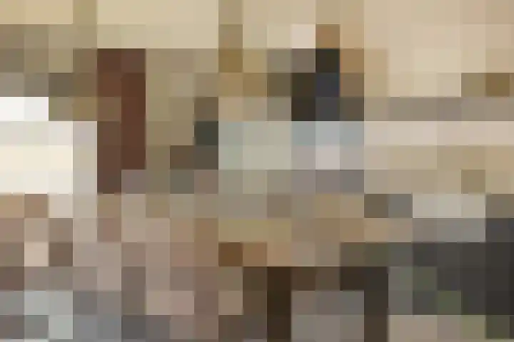 Lieoever 40 Haarlem thumbnail 5