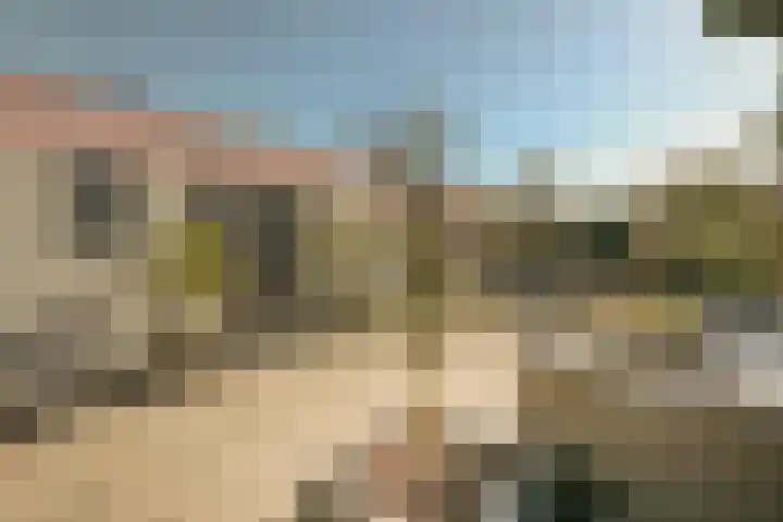 Lieoever 40 Haarlem thumbnail 53