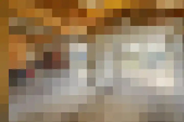 Lieoever 40 Haarlem thumbnail 57