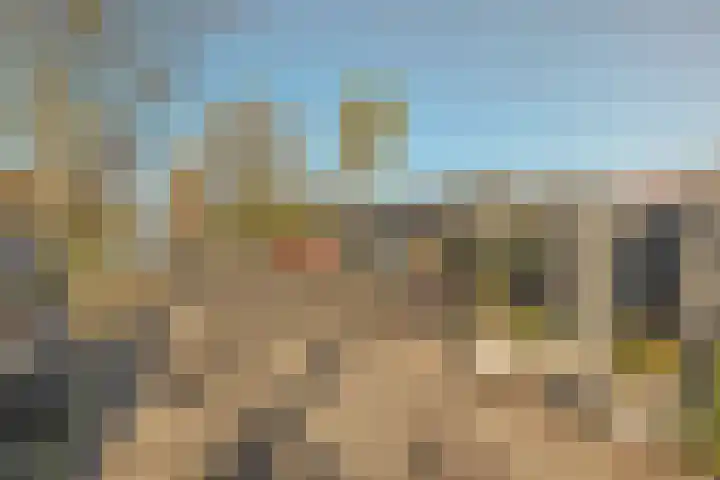 Lieoever 40 Haarlem thumbnail 66