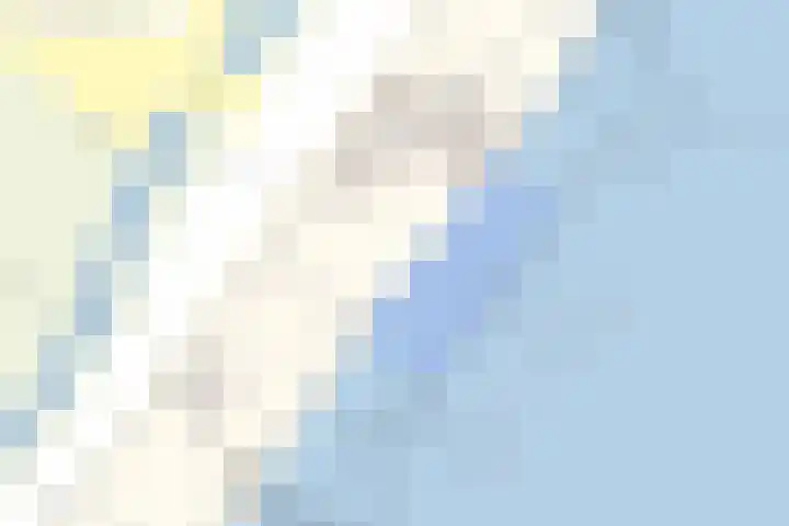 Lieoever 40 Haarlem thumbnail 67