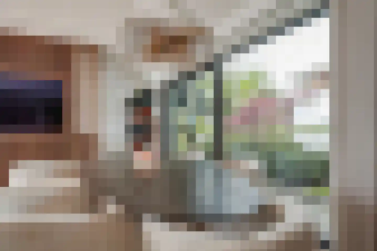 Lieoever 45 Haarlem thumbnail 13