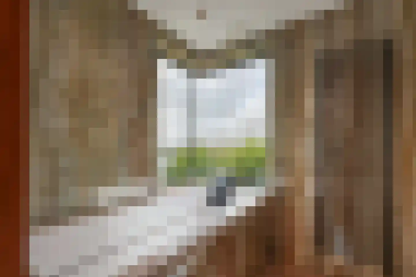Lieoever 45 Haarlem thumbnail 36