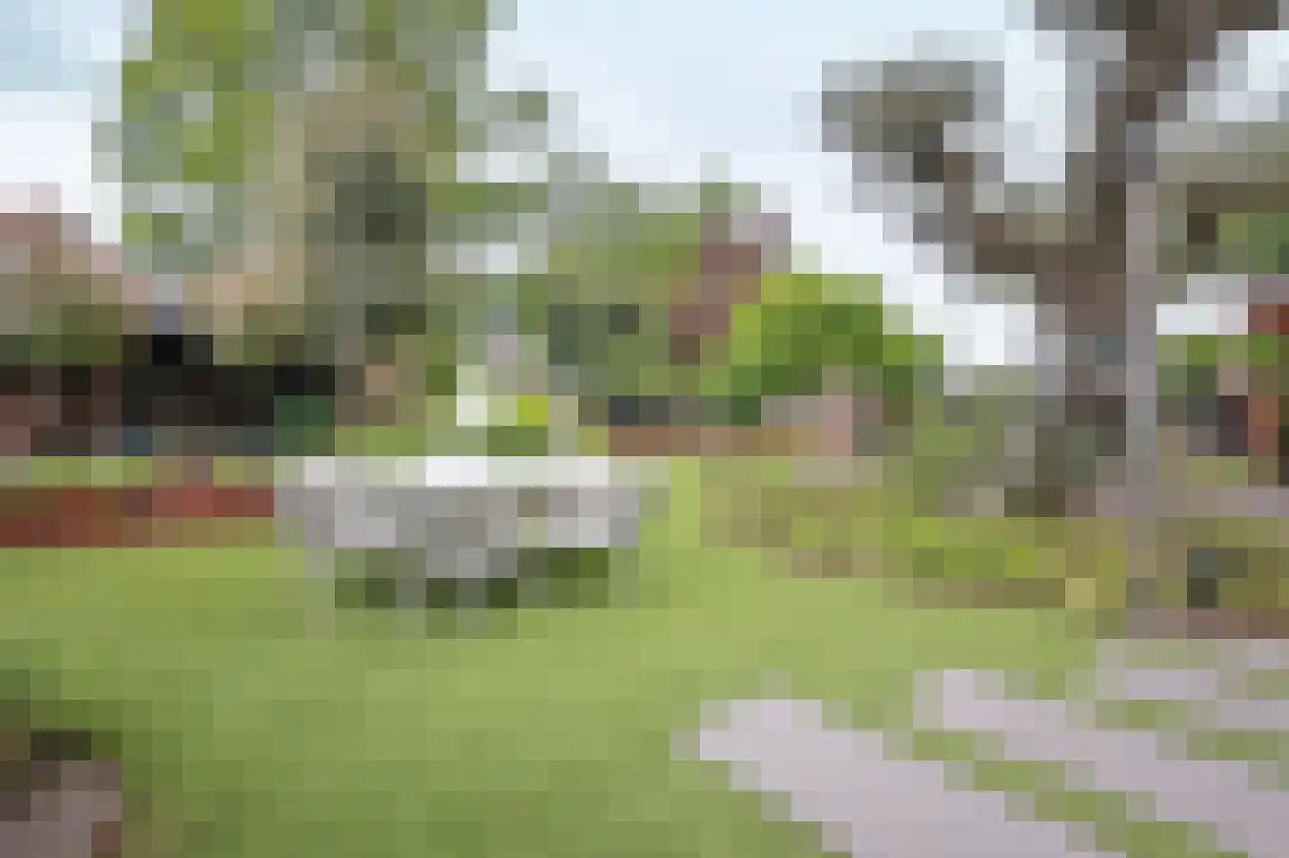 Lieoever 45 Haarlem thumbnail 49