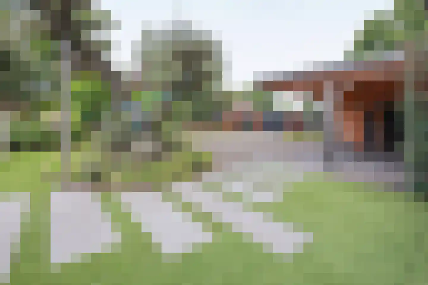 Lieoever 45 Haarlem thumbnail 50