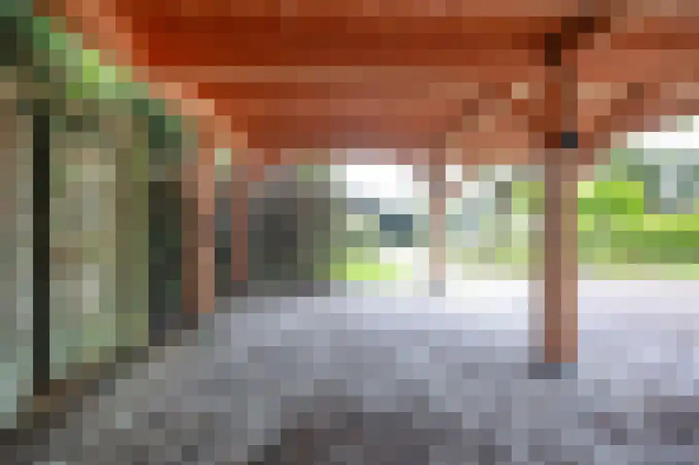 Lieoever 45 Haarlem thumbnail 53