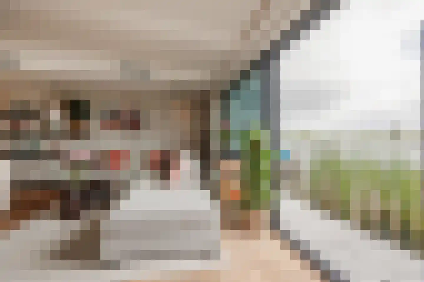 Lieoever 45 Haarlem thumbnail 6