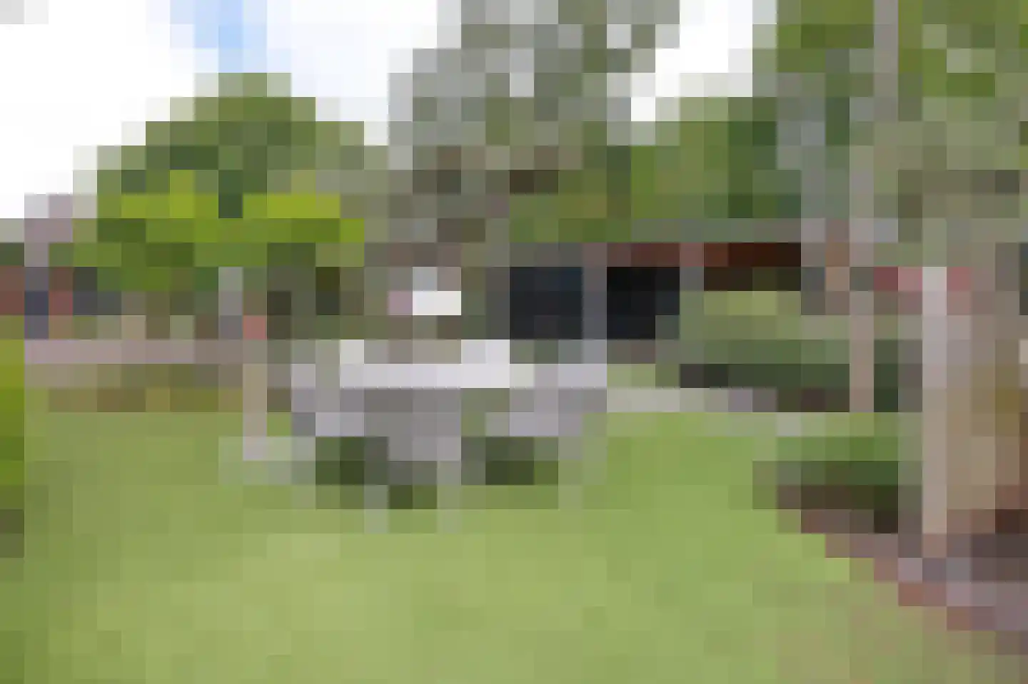 Lieoever 45 Haarlem thumbnail 62