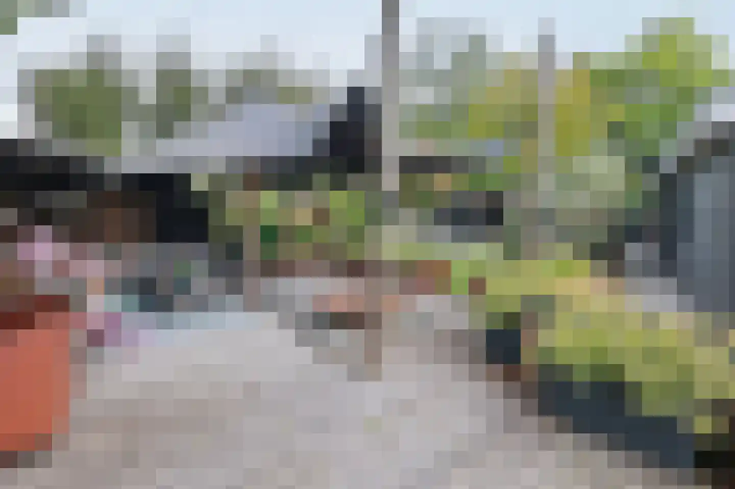 Lieoever 45 Haarlem thumbnail 69