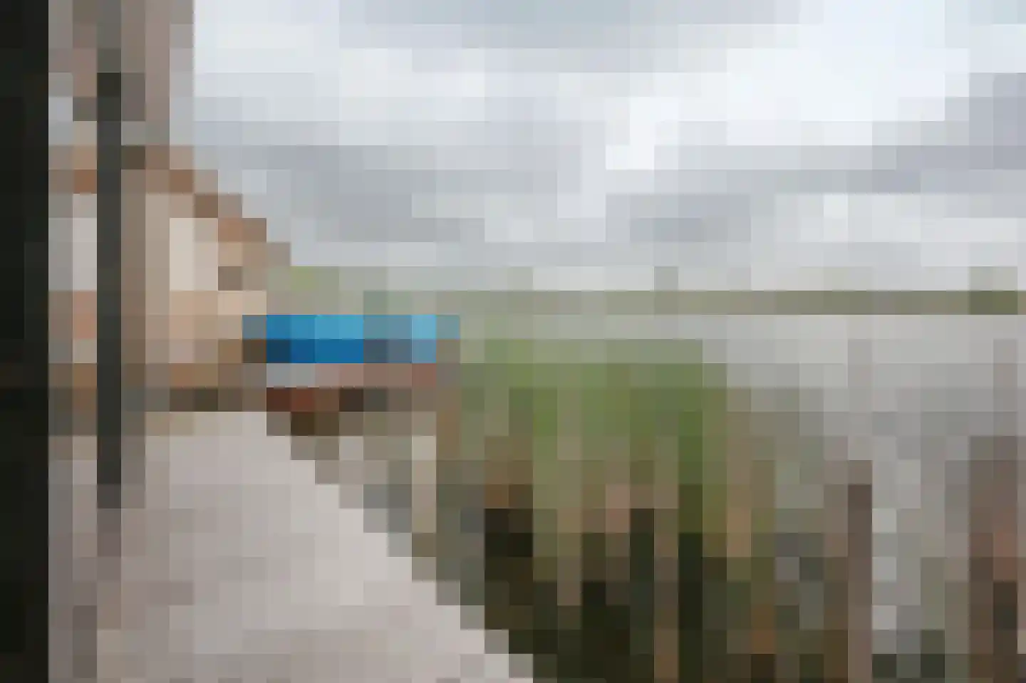 Lieoever 45 Haarlem thumbnail 7