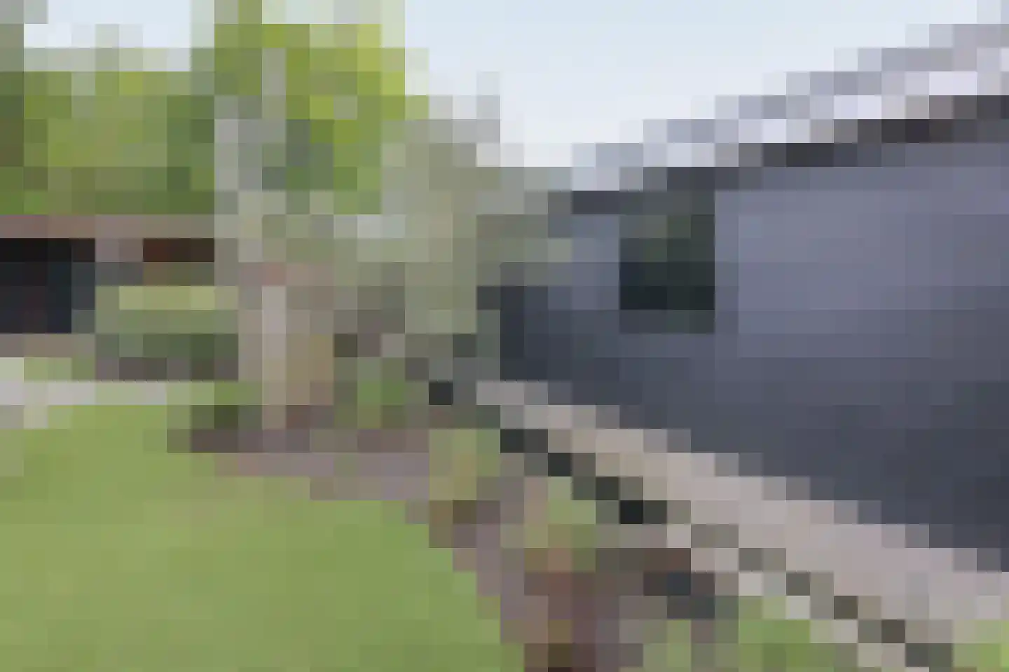 Lieoever 45 Haarlem thumbnail 70