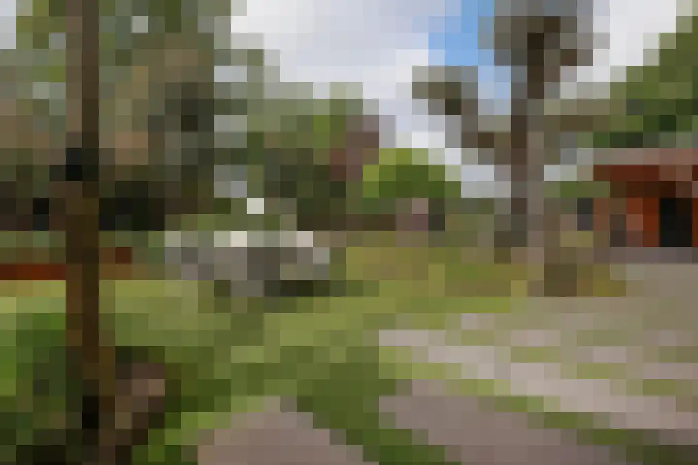 Lieoever 45 Haarlem thumbnail 73