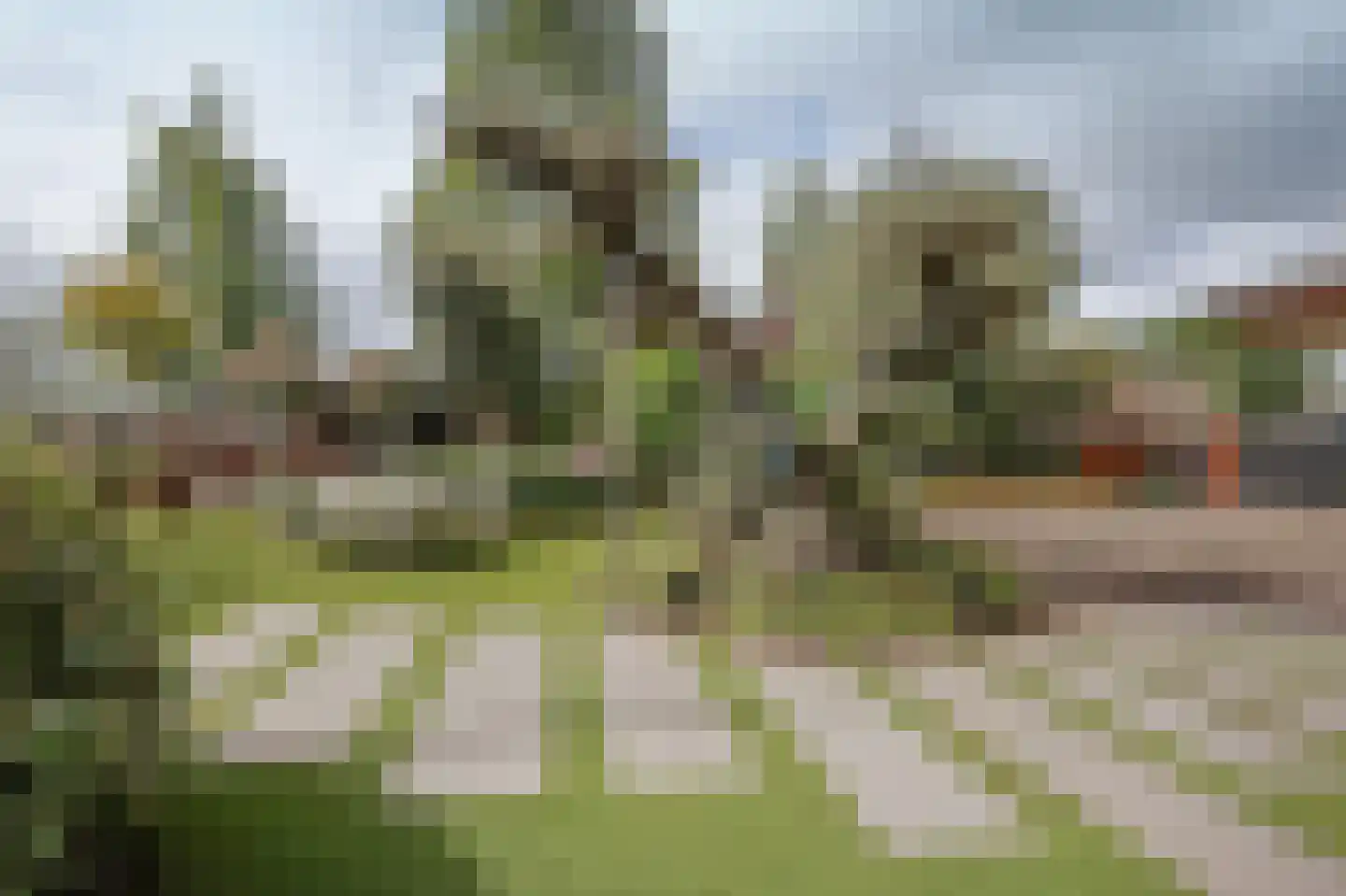 Lieoever 45 Haarlem thumbnail 75