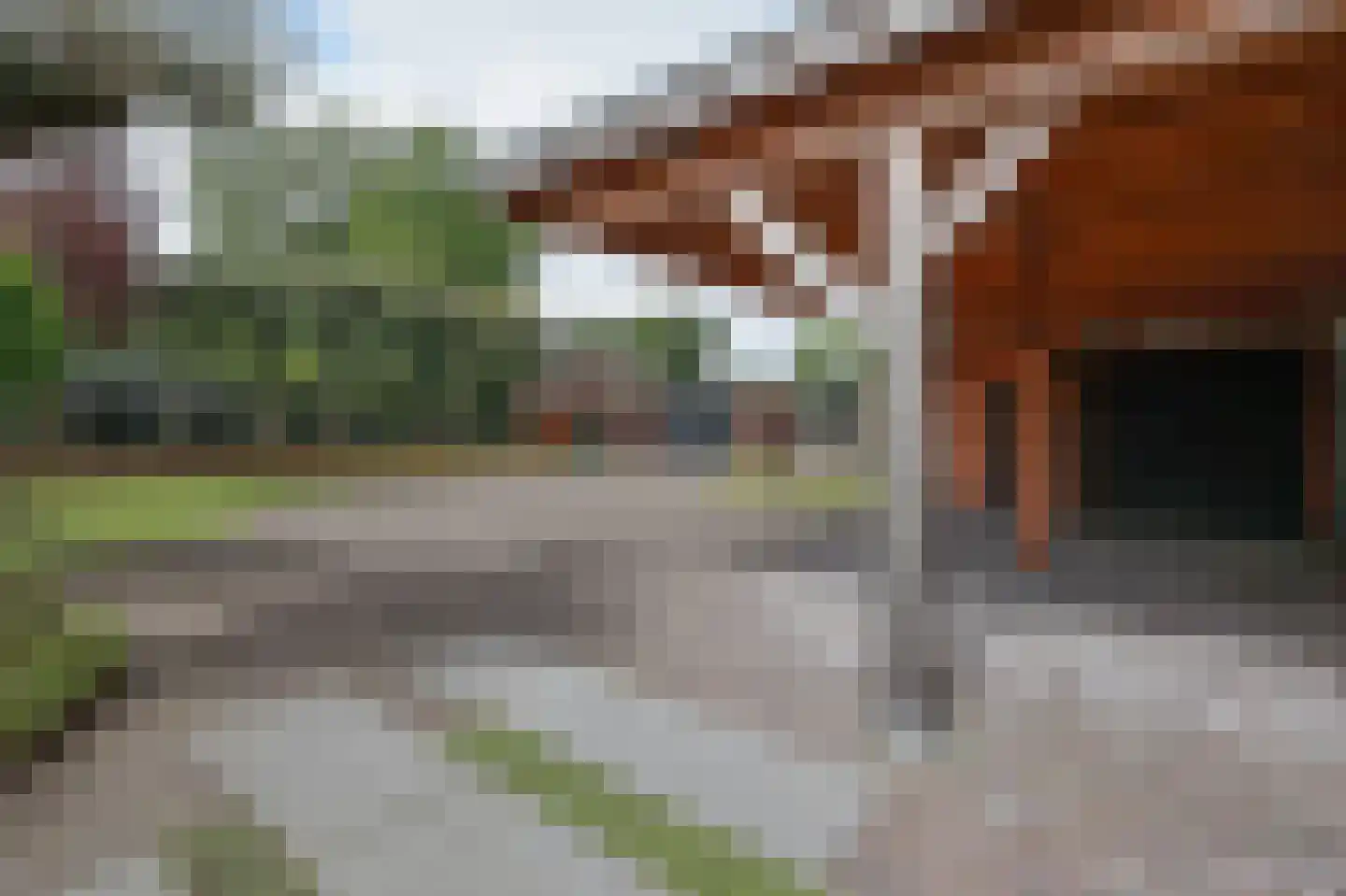 Lieoever 45 Haarlem thumbnail 76