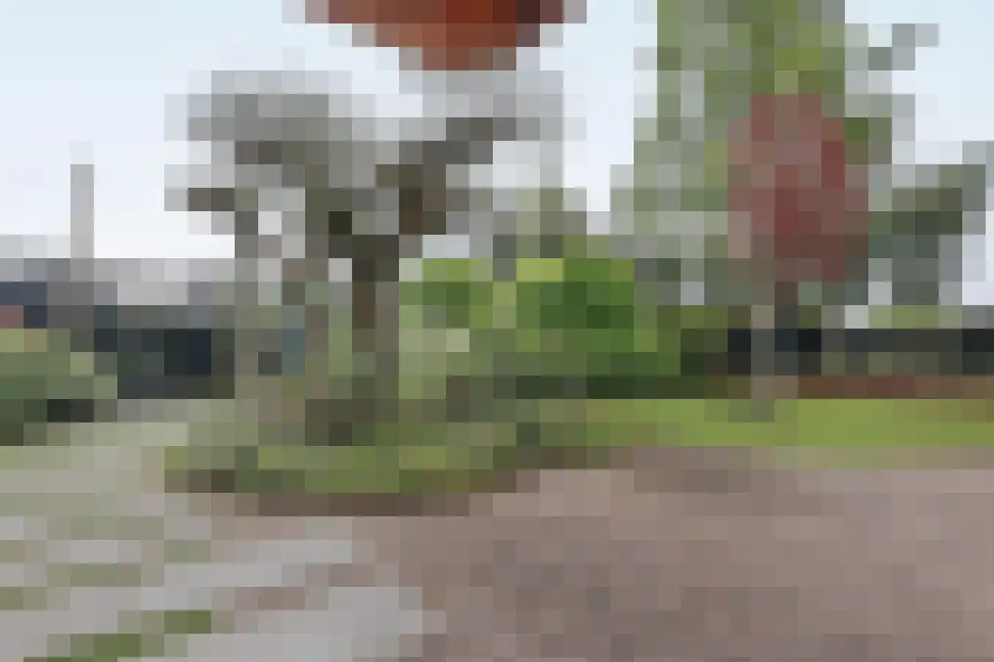 Lieoever 45 Haarlem thumbnail 77