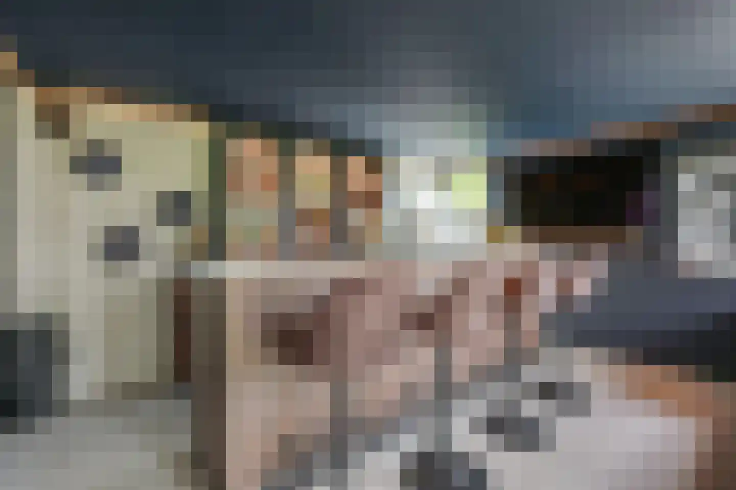 Lieoever 45 Haarlem thumbnail 78