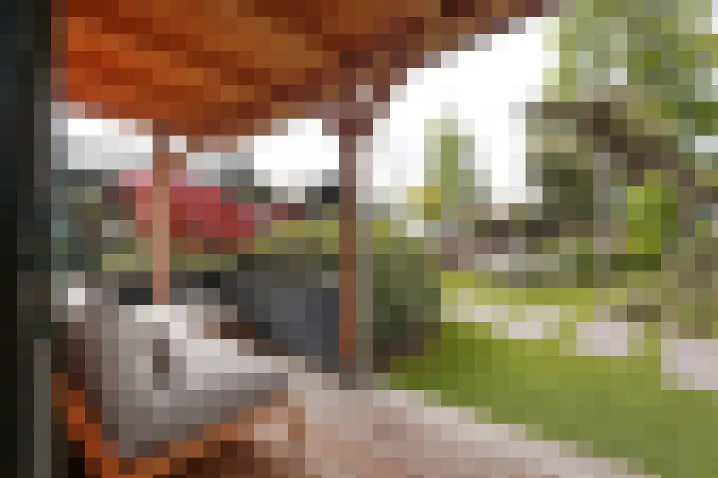 Lieoever 45 Haarlem thumbnail 81
