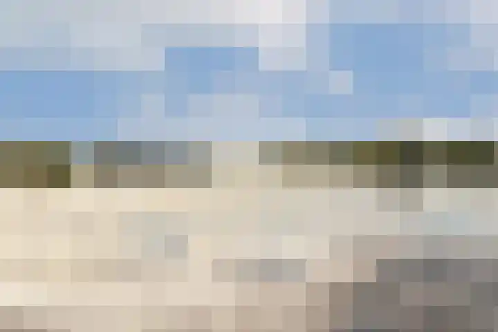 Lieoever 47 Haarlem thumbnail 12