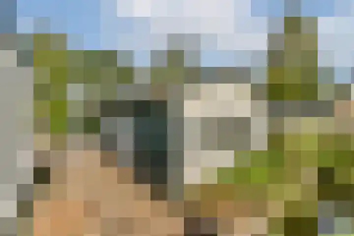 Lieoever 47 Haarlem thumbnail 13