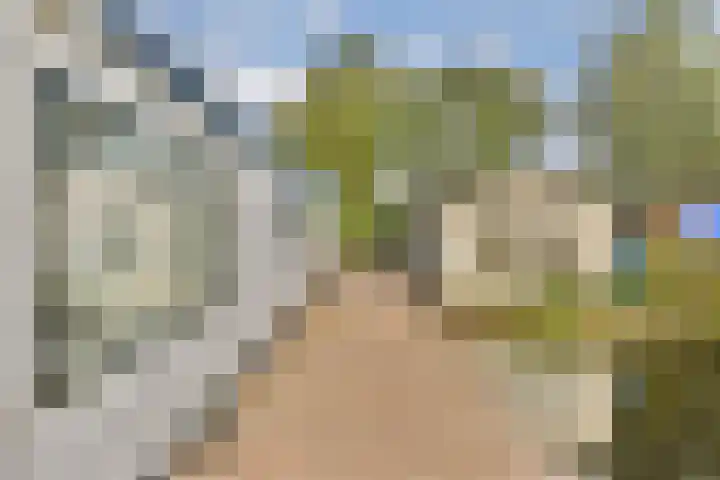 Lieoever 47 Haarlem thumbnail 14