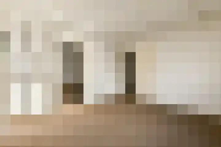 Lieoever 47 Haarlem thumbnail 16