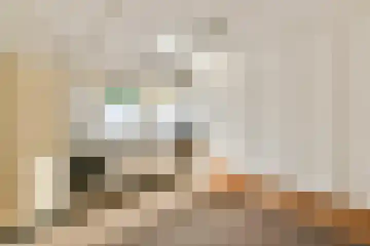 Lieoever 47 Haarlem thumbnail 17