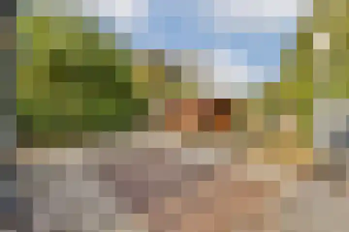 Lieoever 47 Haarlem thumbnail 20