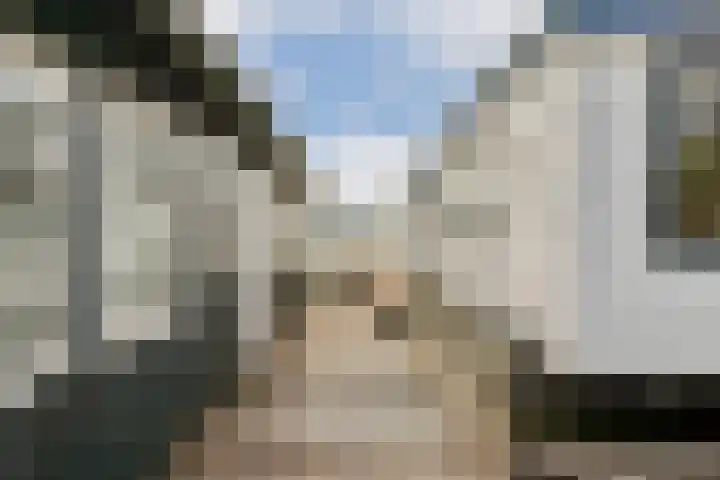 Lieoever 47 Haarlem thumbnail 21