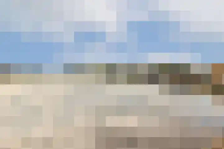 Lieoever 47 Haarlem thumbnail 23