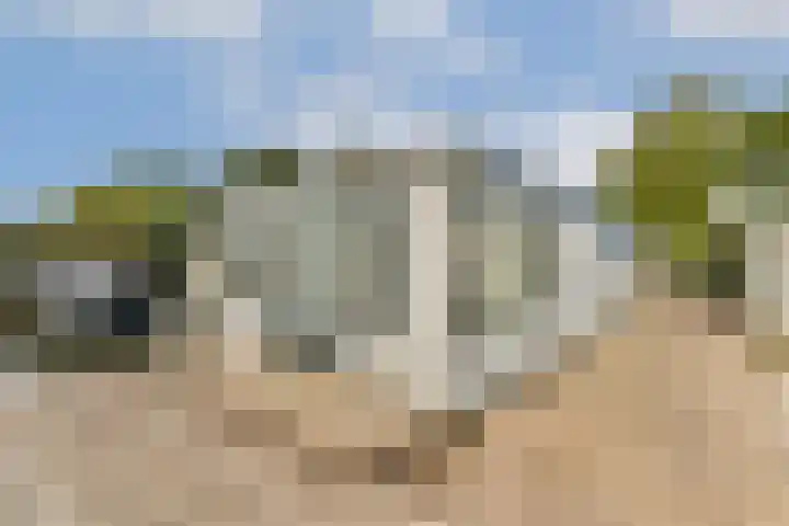Lieoever 47 Haarlem thumbnail 4