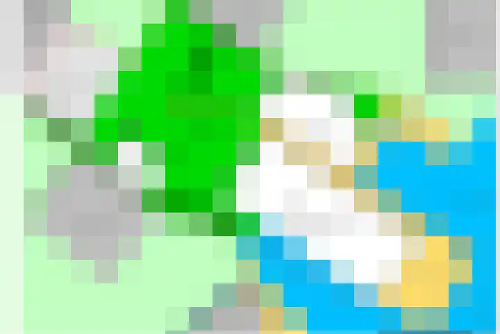 Lieoever 47 Haarlem thumbnail 8