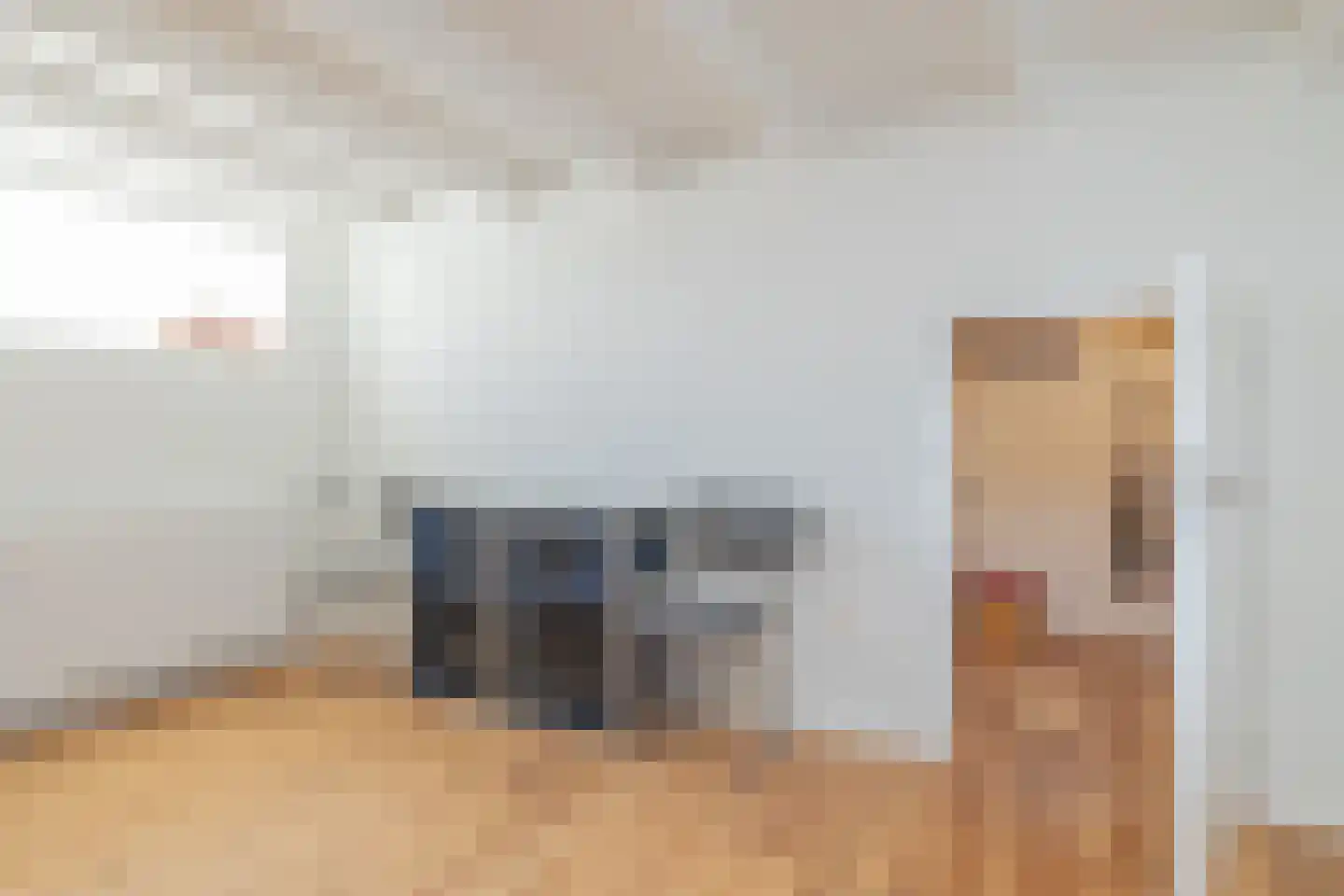 Lieoever 56 Haarlem thumbnail 33