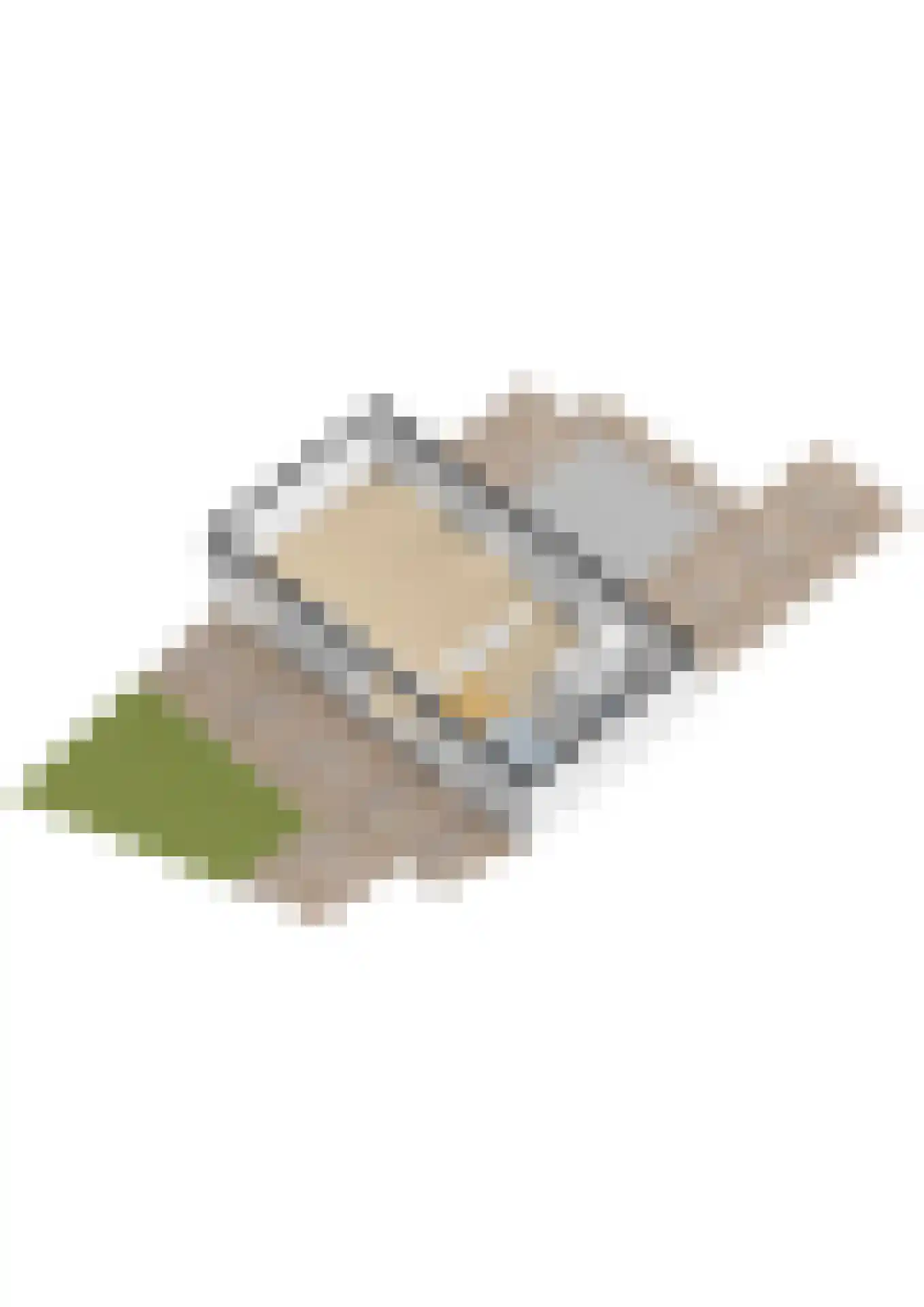 Lieoever 56 Haarlem thumbnail 47