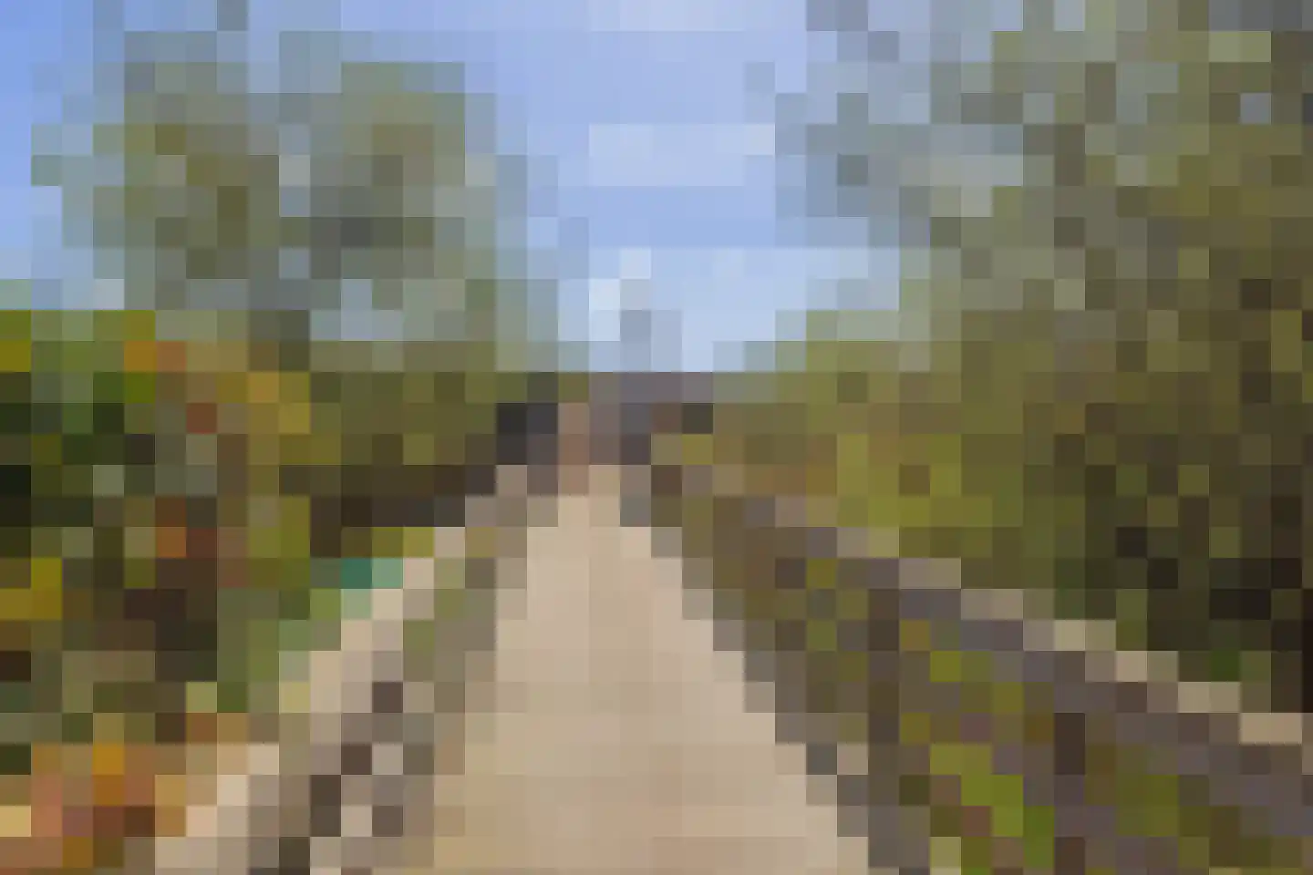 Lieoever 56 Haarlem thumbnail 5