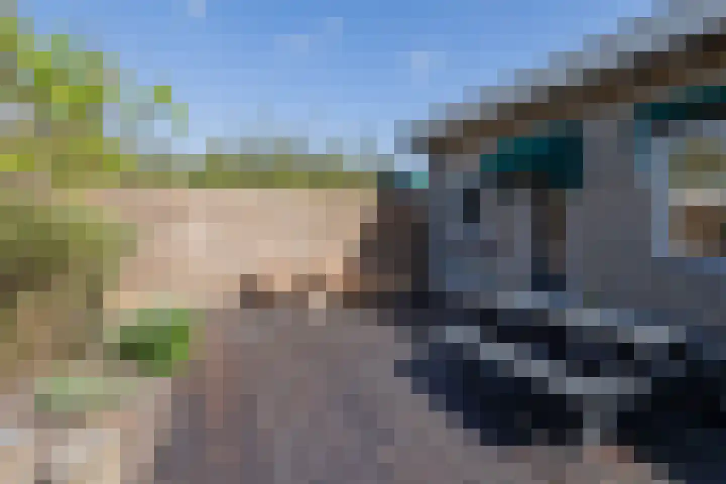 Lieoever 56 Haarlem thumbnail 8