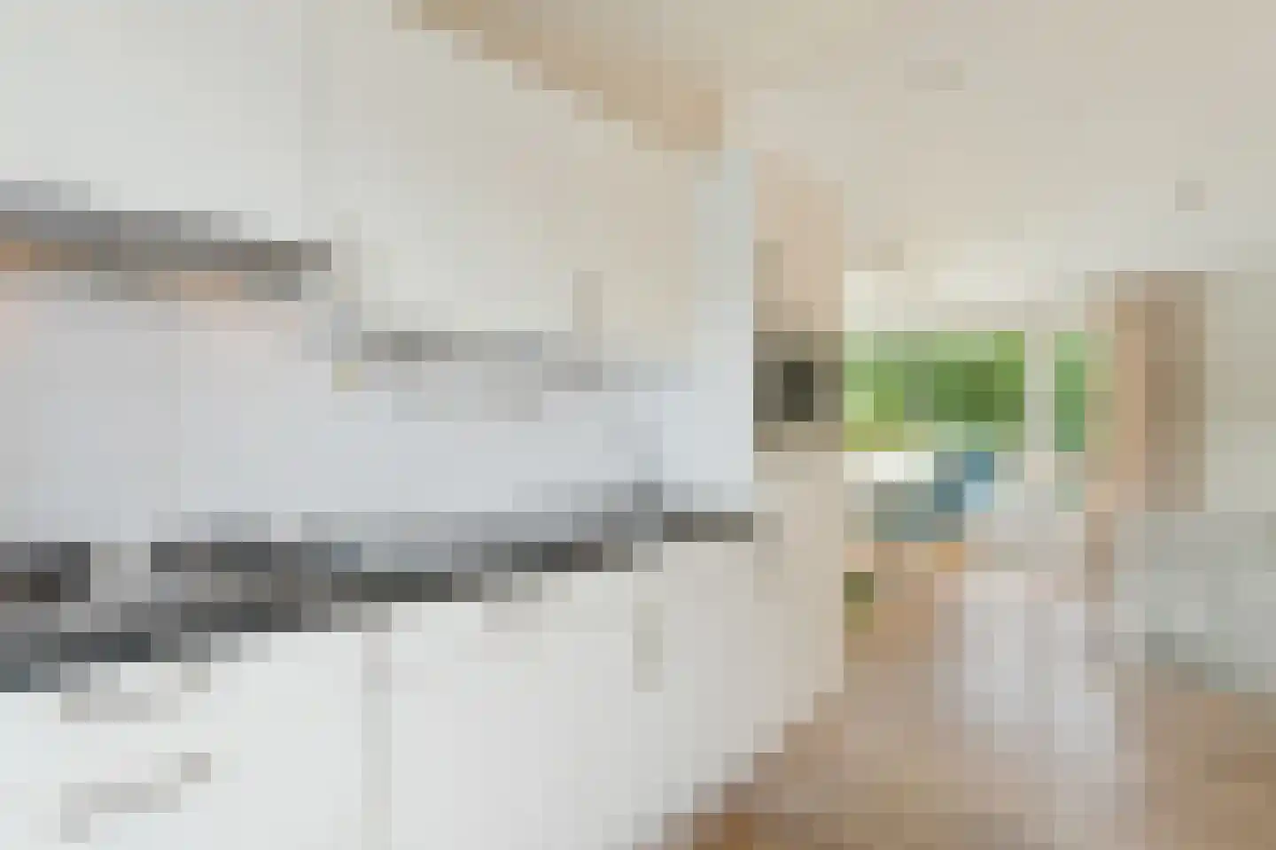 Lieoever 71 Haarlem thumbnail 20