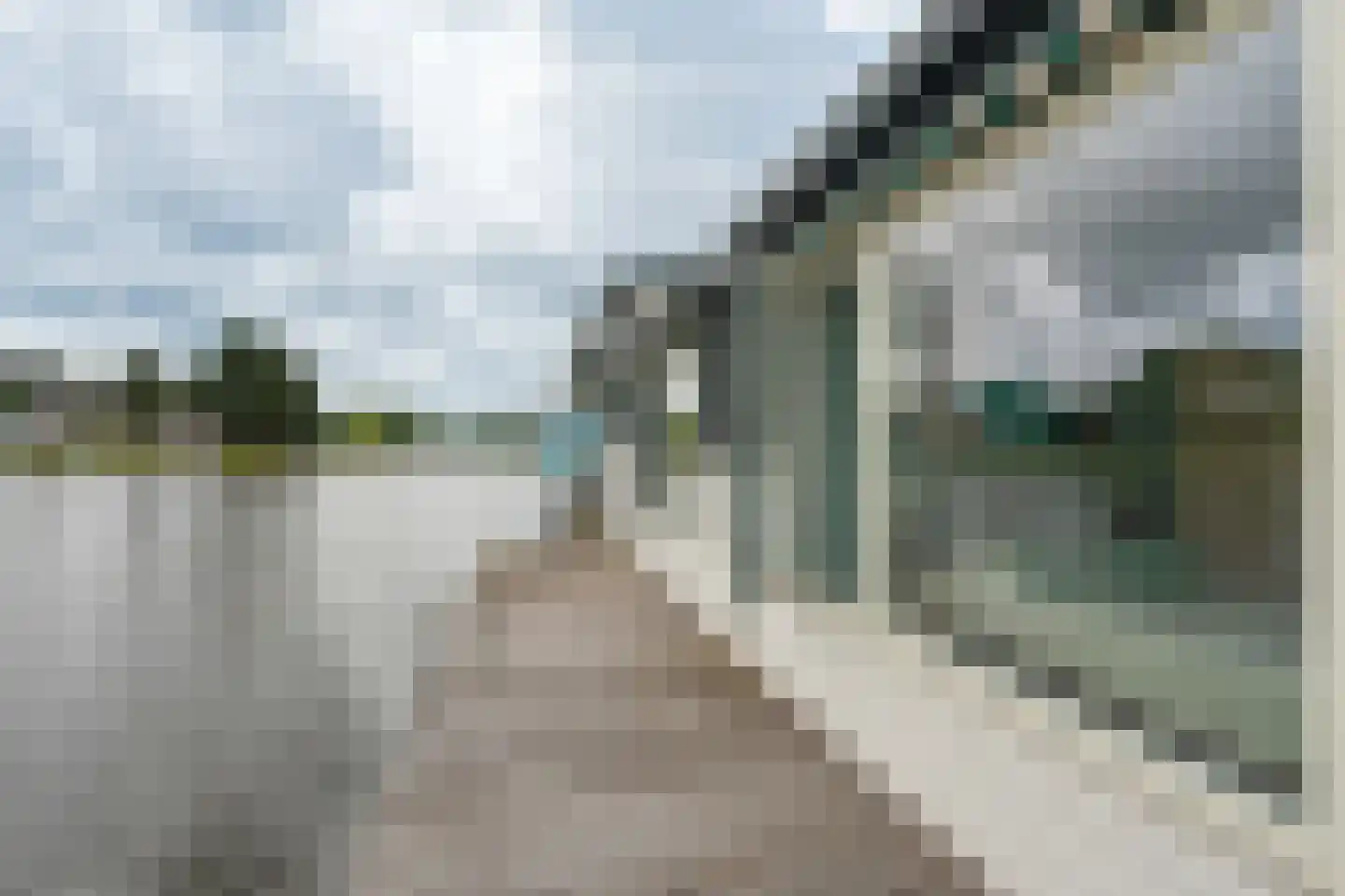 Lieoever 71 Haarlem thumbnail 28