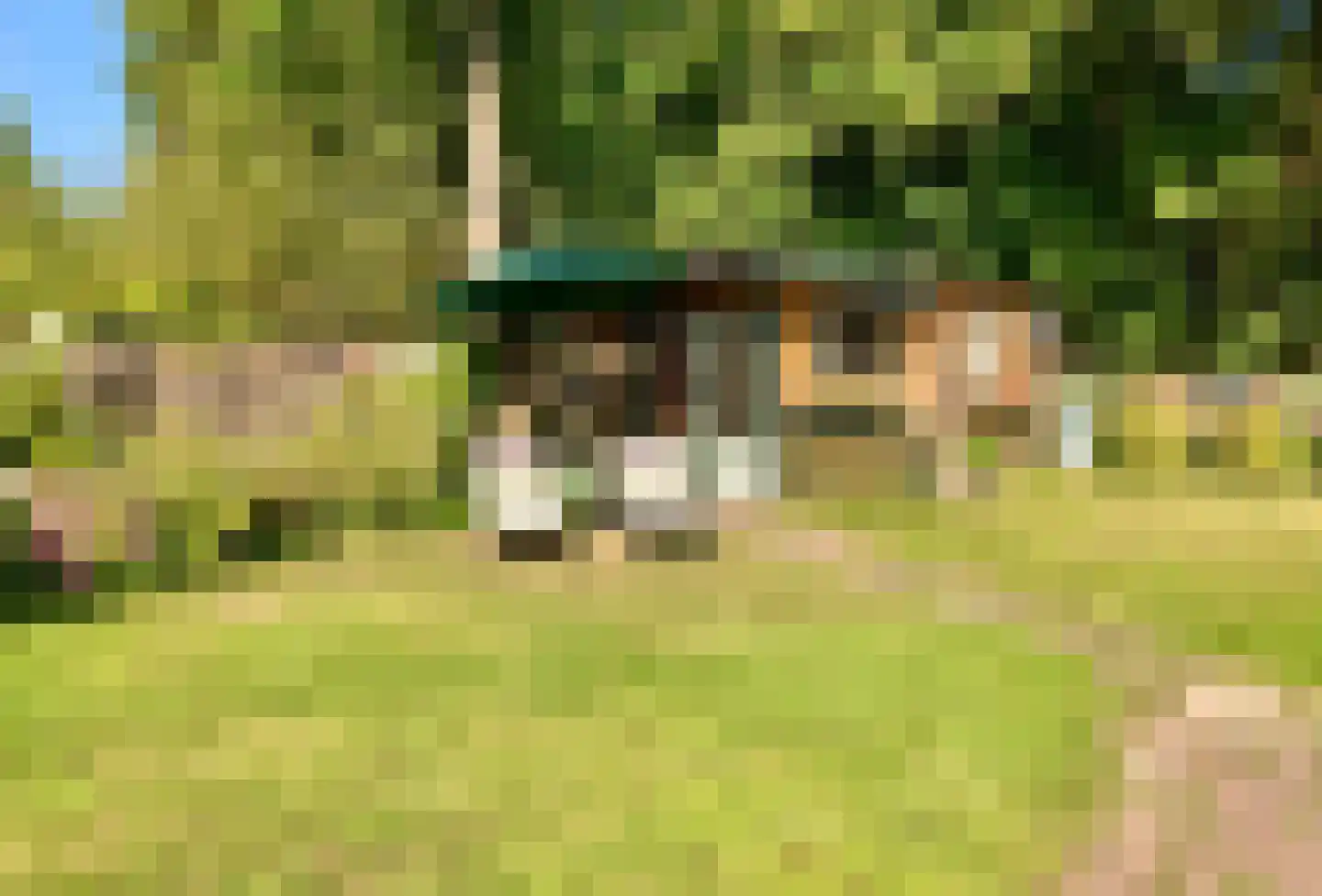 Lieoever 71 Haarlem thumbnail 4