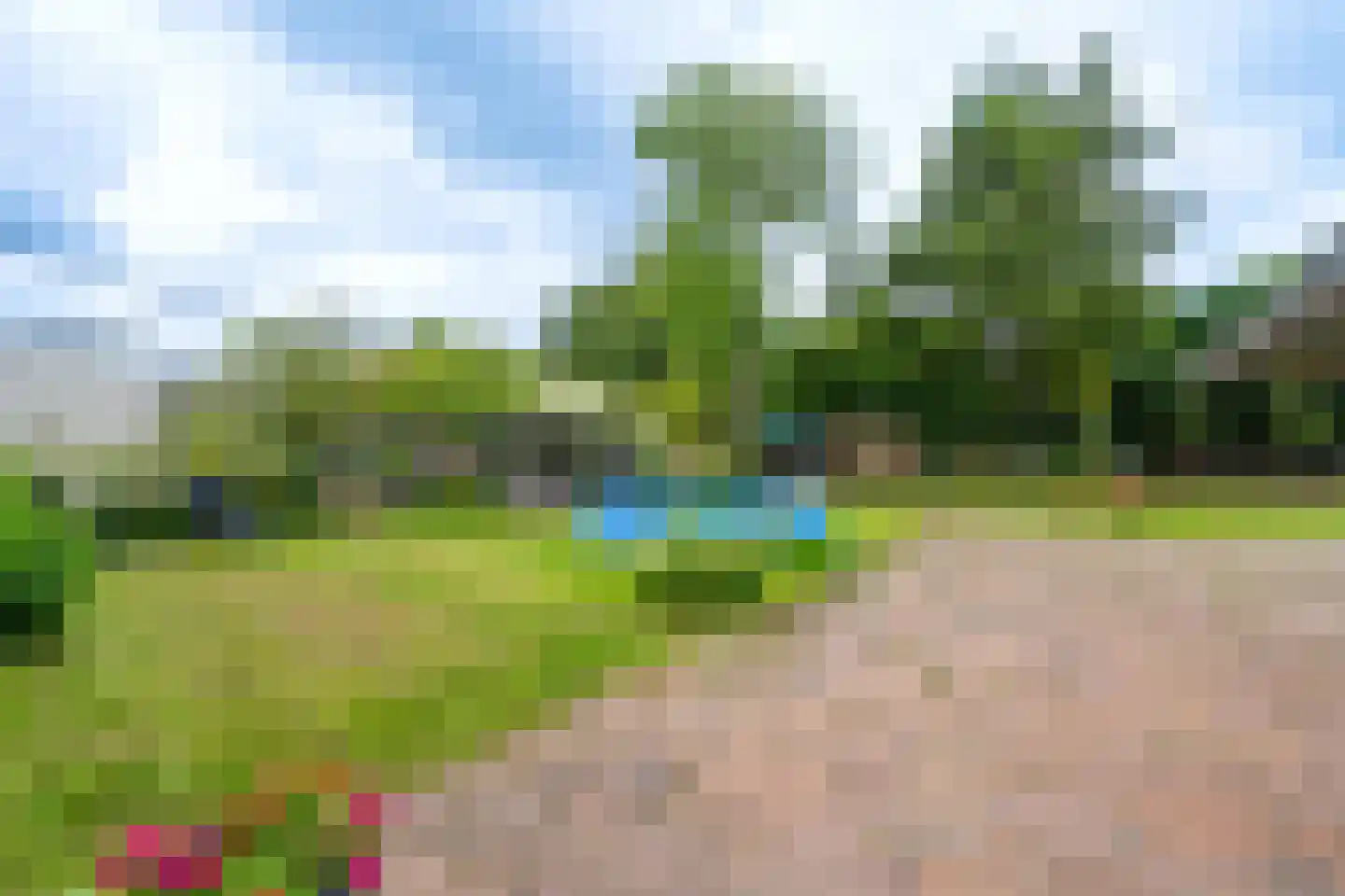 Lieoever 71 Haarlem thumbnail 46