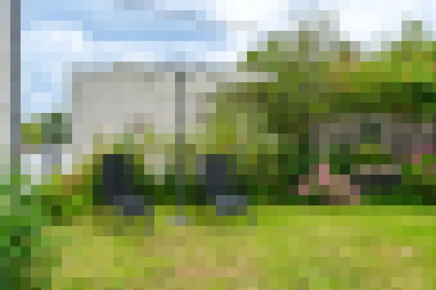 Lieoever 71 Haarlem thumbnail 47