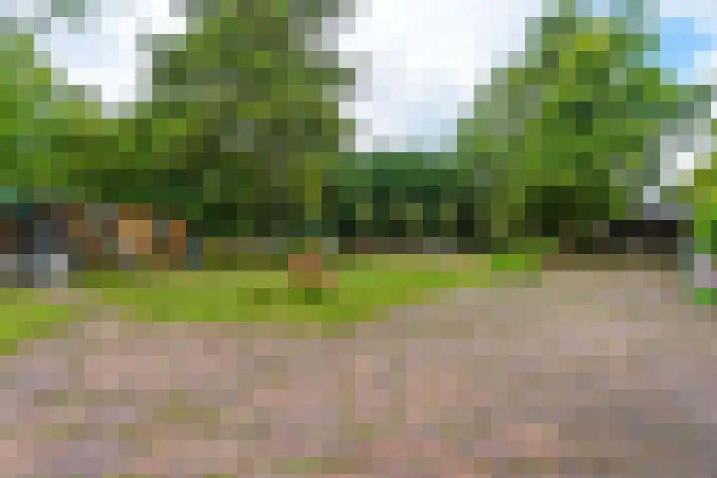 Lieoever 71 Haarlem thumbnail 49