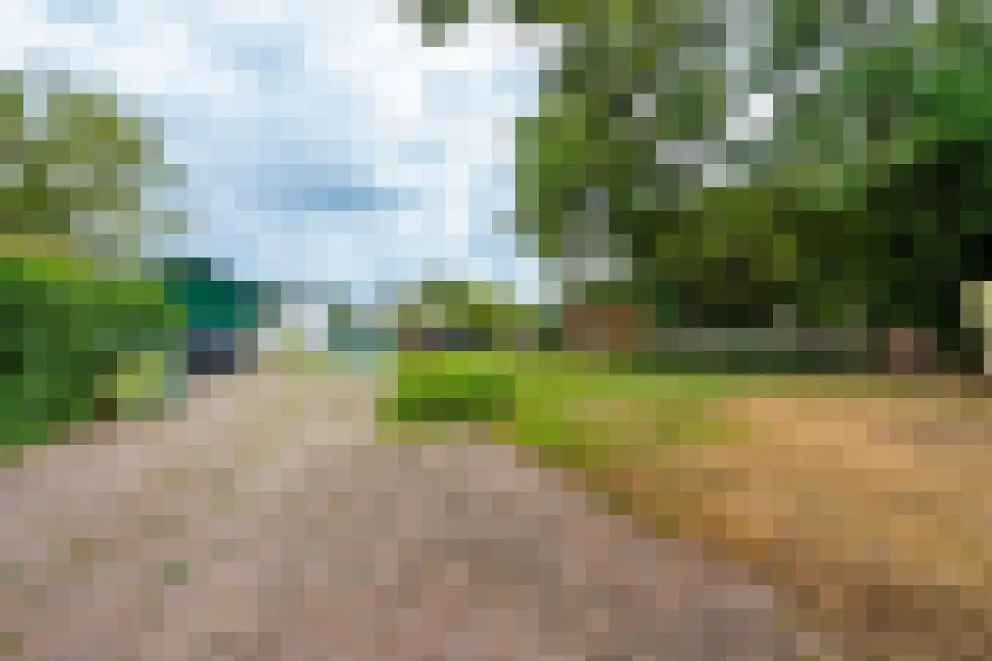 Lieoever 71 Haarlem thumbnail 50