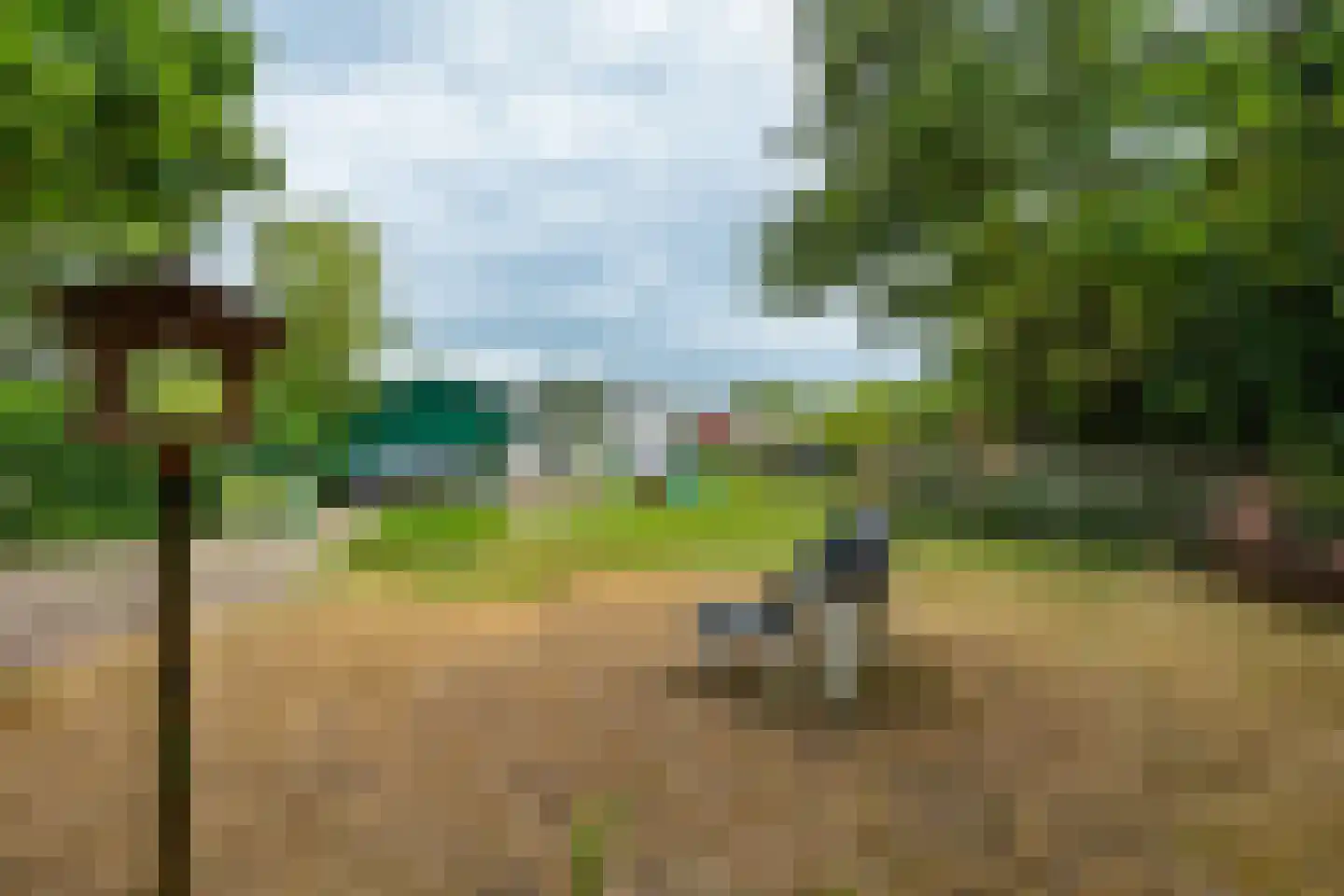 Lieoever 71 Haarlem thumbnail 51