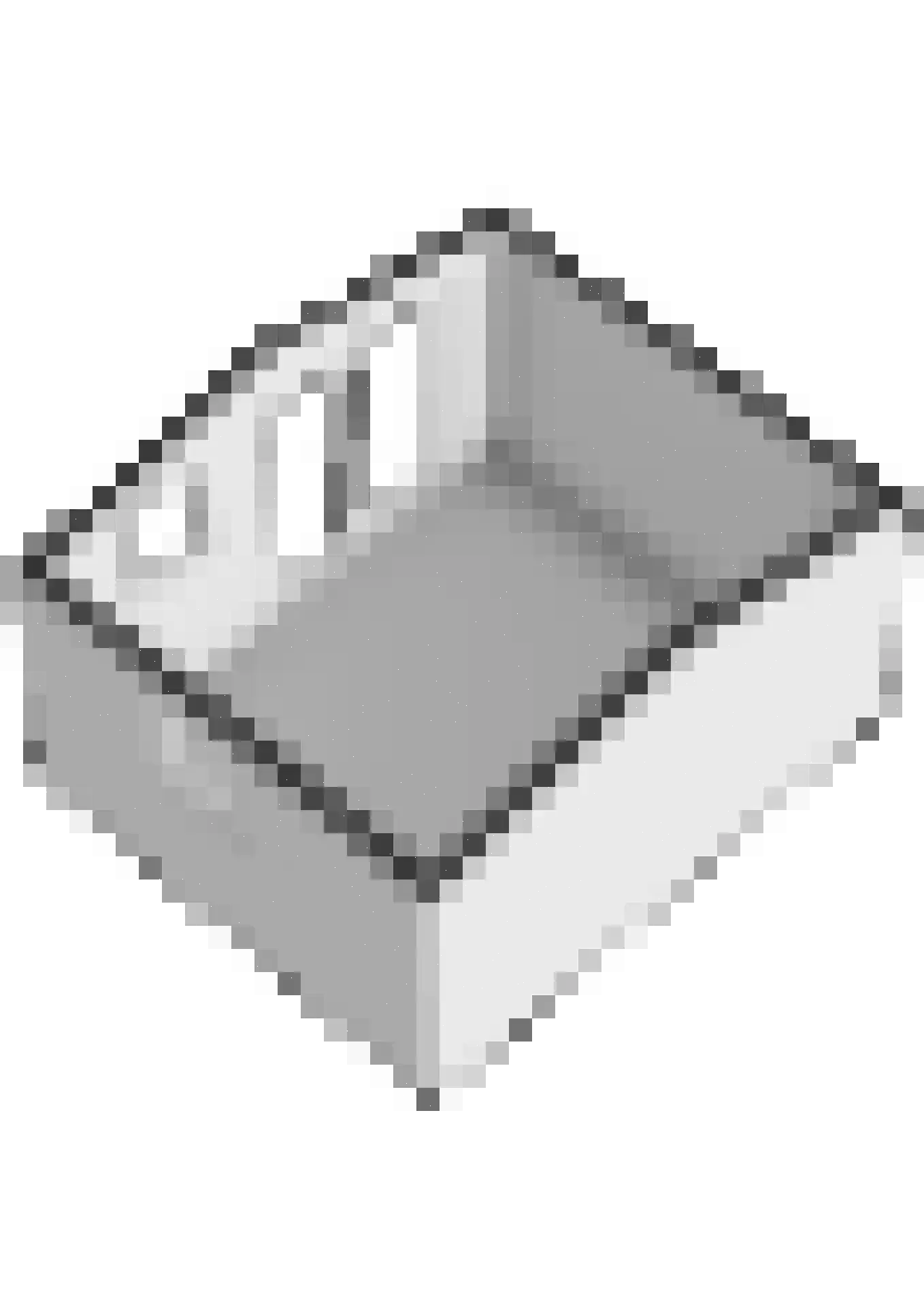 Lieoever 71 Haarlem thumbnail 59