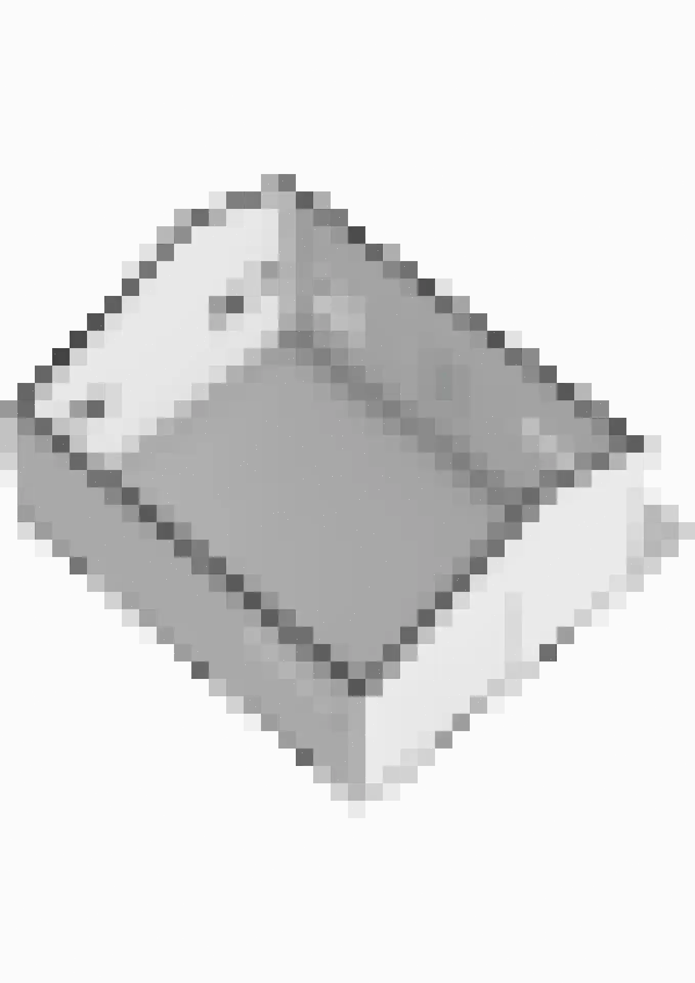 Lieoever 71 Haarlem thumbnail 61