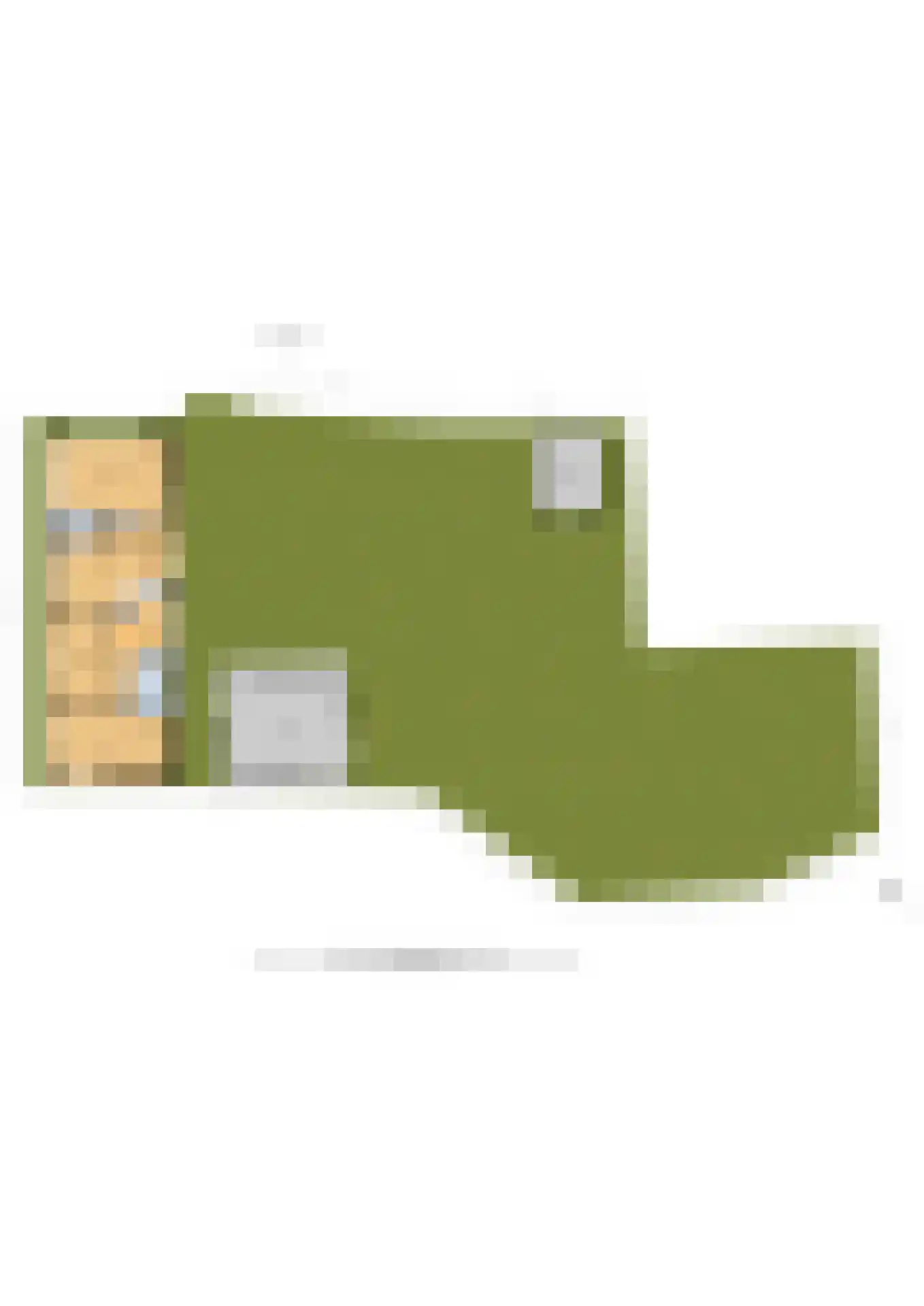 Lieoever 71 Haarlem thumbnail 62