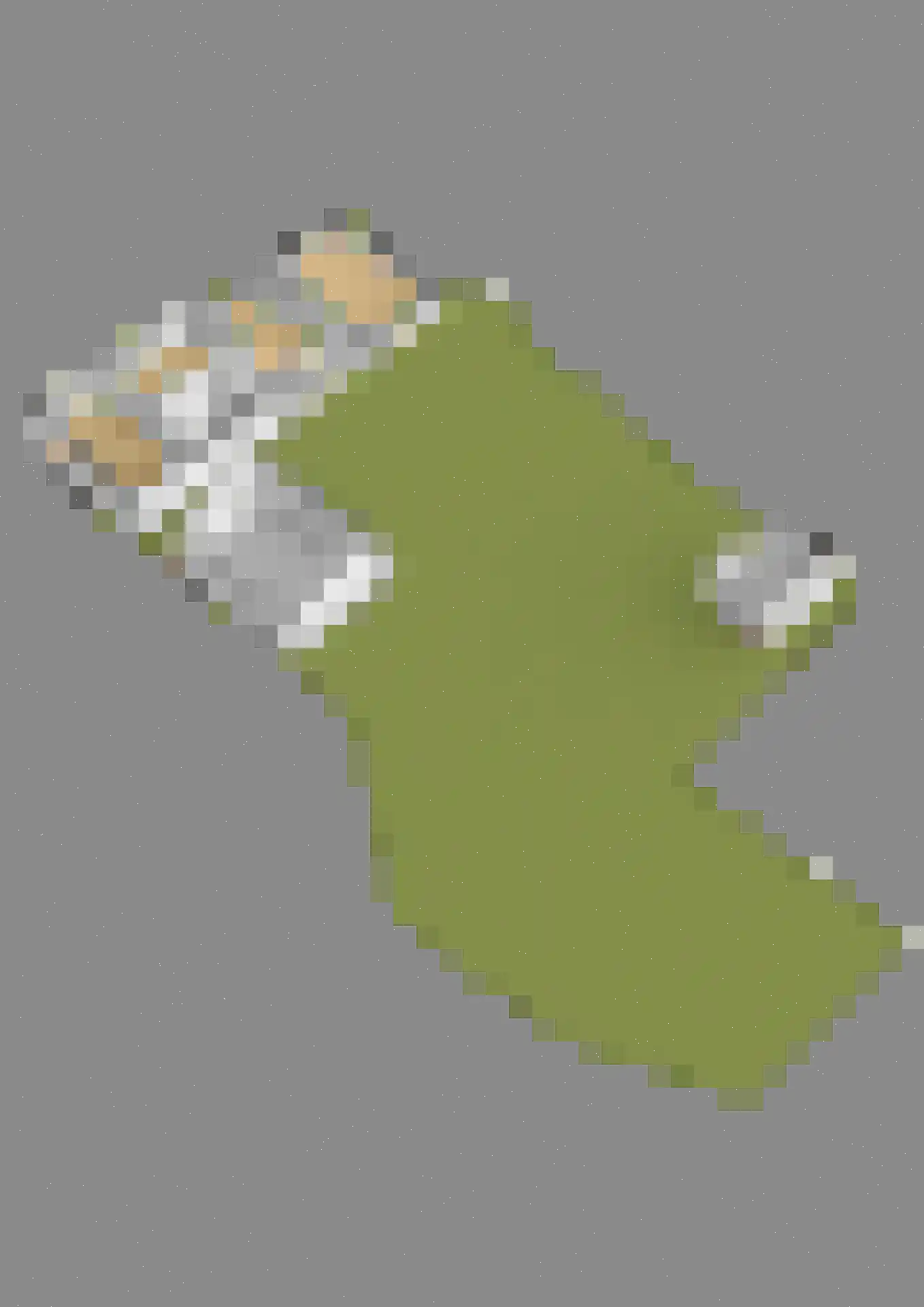 Lieoever 71 Haarlem thumbnail 63